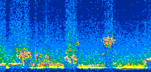 /calipso-imagery/data/BROWSE/production/V5-00/2008-01-29/2008-01-29_22-29-54_V5.00_2_thmb.png image missing
