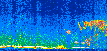 /calipso-imagery/data/BROWSE/production/V5-00/2008-02-14/2008-02-14_04-23-37_V5.00_2_thmb.png image missing