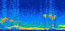 /calipso-imagery/data/BROWSE/production/V5-00/2008-02-14/2008-02-14_12-38-03_V5.00_2_thmb.png image missing