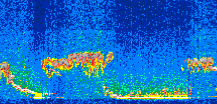 /calipso-imagery/data/BROWSE/production/V5-00/2008-02-14/2008-02-14_15-55-53_V5.00_2_thmb.png image missing