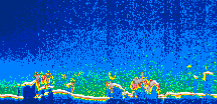 /calipso-imagery/data/BROWSE/production/V5-00/2008-02-15/2008-02-15_03-28-05_V5.00_1_thmb.png image missing