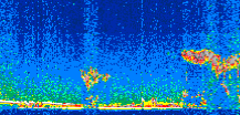 /calipso-imagery/data/BROWSE/production/V5-00/2008-02-15/2008-02-15_10-03-41_V5.00_2_thmb.png image missing