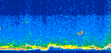 /calipso-imagery/data/BROWSE/production/V5-00/2008-02-15/2008-02-15_10-03-41_V5.00_3_thmb.png image missing