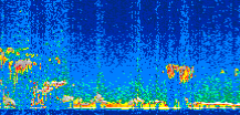 /calipso-imagery/data/BROWSE/production/V5-00/2008-02-15/2008-02-15_16-39-11_V5.00_3_thmb.png image missing