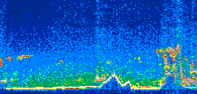/calipso-imagery/data/BROWSE/production/V5-00/2008-02-15/2008-02-15_18-18-07_V5.00_2_thmb.png image missing