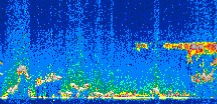 /calipso-imagery/data/BROWSE/production/V5-00/2008-02-27/2008-02-27_07-11-53_V5.00_2_thmb.png image missing