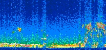 /calipso-imagery/data/BROWSE/production/V5-00/2008-02-27/2008-02-27_08-50-48_V5.00_2_thmb.png image missing
