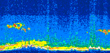 /calipso-imagery/data/BROWSE/production/V5-00/2008-02-27/2008-02-27_10-29-38_V5.00_3_thmb.png image missing