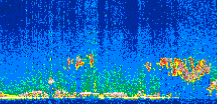 /calipso-imagery/data/BROWSE/production/V5-00/2008-02-27/2008-02-27_22-01-55_V5.00_3_thmb.png image missing