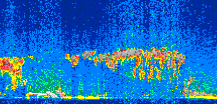 /calipso-imagery/data/BROWSE/production/V5-00/2008-03-02/2008-03-02_00-12-04_V5.00_2_thmb.png image missing