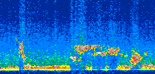 /calipso-imagery/data/BROWSE/production/V5-00/2008-03-02/2008-03-02_00-12-04_V5.00_3_thmb.png image missing