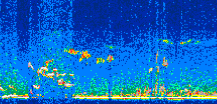 /calipso-imagery/data/BROWSE/production/V5-00/2008-03-02/2008-03-02_01-50-55_V5.00_2_thmb.png image missing