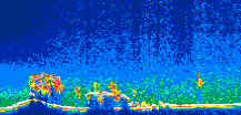 /calipso-imagery/data/BROWSE/production/V5-00/2008-03-02/2008-03-02_03-29-50_V5.00_1_thmb.png image missing