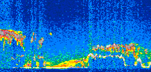 /calipso-imagery/data/BROWSE/production/V5-00/2008-03-02/2008-03-02_06-47-35_V5.00_3_thmb.png image missing