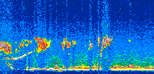 /calipso-imagery/data/BROWSE/production/V5-00/2008-03-02/2008-03-02_23-16-32_V5.00_2_thmb.png image missing