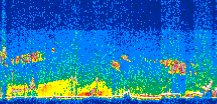 /calipso-imagery/data/BROWSE/production/V5-00/2008-03-11/2008-03-11_13-17-57_V5.00_3_thmb.png image missing