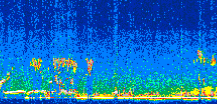 /calipso-imagery/data/BROWSE/production/V5-00/2008-03-11/2008-03-11_14-56-52_V5.00_2_thmb.png image missing