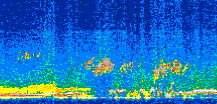 /calipso-imagery/data/BROWSE/production/V5-00/2008-03-11/2008-03-11_14-56-52_V5.00_3_thmb.png image missing