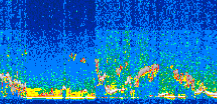 /calipso-imagery/data/BROWSE/production/V5-00/2008-03-11/2008-03-11_18-14-43_V5.00_3_thmb.png image missing