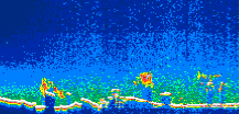 /calipso-imagery/data/BROWSE/production/V5-00/2008-03-11/2008-03-11_21-32-28_V5.00_1_thmb.png image missing