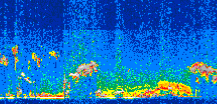 /calipso-imagery/data/BROWSE/production/V5-00/2008-03-12/2008-03-12_04-07-59_V5.00_3_thmb.png image missing