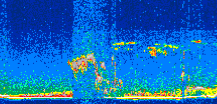 /calipso-imagery/data/BROWSE/production/V5-00/2008-03-12/2008-03-12_10-43-35_V5.00_2_thmb.png image missing