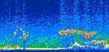 /calipso-imagery/data/BROWSE/production/V5-00/2008-03-12/2008-03-12_20-36-56_V5.00_3_thmb.png image missing