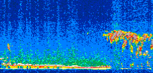 /calipso-imagery/data/BROWSE/production/V5-00/2008-03-13/2008-03-13_06-30-17_V5.00_2_thmb.png image missing