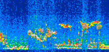 /calipso-imagery/data/BROWSE/production/V5-00/2008-03-13/2008-03-13_16-23-39_V5.00_2_thmb.png image missing