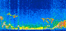/calipso-imagery/data/BROWSE/production/V5-00/2008-03-13/2008-03-13_18-02-29_V5.00_3_thmb.png image missing