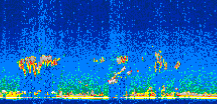 /calipso-imagery/data/BROWSE/production/V5-00/2008-03-14/2008-03-14_00-38-05_V5.00_2_thmb.png image missing