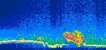 /calipso-imagery/data/BROWSE/production/V5-00/2008-03-14/2008-03-14_13-49-17_V5.00_1_thmb.png image missing