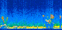 /calipso-imagery/data/BROWSE/production/V5-00/2008-03-14/2008-03-14_13-49-17_V5.00_2_thmb.png image missing