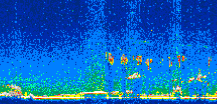 /calipso-imagery/data/BROWSE/production/V5-00/2008-03-14/2008-03-14_18-45-52_V5.00_2_thmb.png image missing
