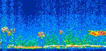 /calipso-imagery/data/BROWSE/production/V5-00/2008-03-14/2008-03-14_22-03-43_V5.00_3_thmb.png image missing