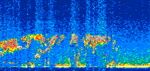 /calipso-imagery/data/BROWSE/production/V5-00/2008-03-14/2008-03-14_23-42-38_V5.00_2_thmb.png image missing