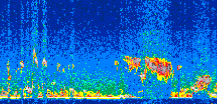 /calipso-imagery/data/BROWSE/production/V5-00/2008-03-14/2008-03-14_23-42-38_V5.00_3_thmb.png image missing