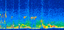 /calipso-imagery/data/BROWSE/production/V5-00/2008-03-15/2008-03-15_04-39-14_V5.00_3_thmb.png image missing