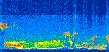 /calipso-imagery/data/BROWSE/production/V5-00/2008-03-15/2008-03-15_12-53-45_V5.00_3_thmb.png image missing
