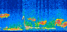 /calipso-imagery/data/BROWSE/production/V5-00/2008-03-17/2008-03-17_01-09-19_V5.00_3_thmb.png image missing