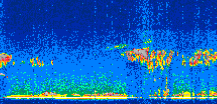 /calipso-imagery/data/BROWSE/production/V5-00/2008-03-17/2008-03-17_09-23-50_V5.00_2_thmb.png image missing