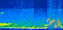 /calipso-imagery/data/BROWSE/production/V5-00/2008-03-17/2008-03-17_11-02-41_V5.00_3_thmb.png image missing