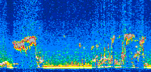 /calipso-imagery/data/BROWSE/production/V5-00/2008-03-17/2008-03-17_15-59-21_V5.00_2_thmb.png image missing