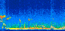 /calipso-imagery/data/BROWSE/production/V5-00/2008-03-17/2008-03-17_22-34-57_V5.00_2_thmb.png image missing
