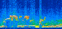 /calipso-imagery/data/BROWSE/production/V5-00/2008-03-17/2008-03-17_22-34-57_V5.00_3_thmb.png image missing