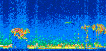 /calipso-imagery/data/BROWSE/production/V5-00/2008-03-18/2008-03-18_15-03-49_V5.00_2_thmb.png image missing
