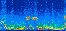 /calipso-imagery/data/BROWSE/production/V5-00/2008-03-18/2008-03-18_21-39-25_V5.00_2_thmb.png image missing