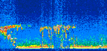 /calipso-imagery/data/BROWSE/production/V5-00/2008-03-21/2008-03-21_00-45-12_V5.00_2_thmb.png image missing
