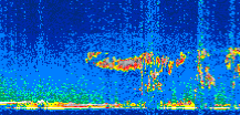 /calipso-imagery/data/BROWSE/production/V5-00/2008-03-25/2008-03-25_06-56-35_V5.00_2_thmb.png image missing