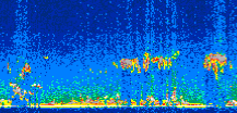 /calipso-imagery/data/BROWSE/production/V5-00/2008-03-25/2008-03-25_21-46-37_V5.00_2_thmb.png image missing